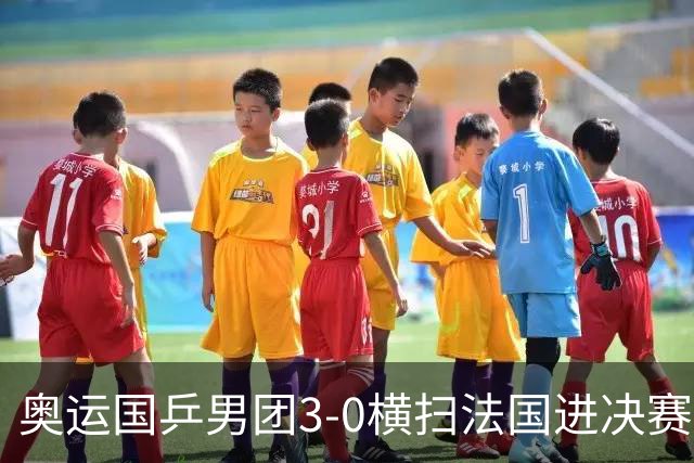 奥运国乒男团3-0横扫法国进决赛 将与瑞典争冠军