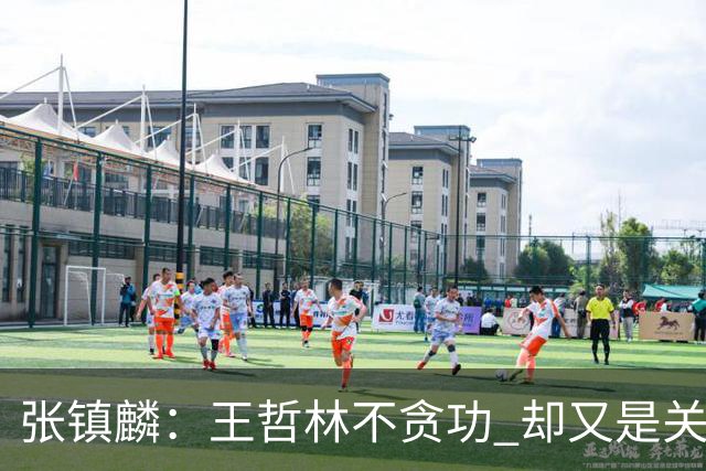 张镇麟：王哲林不贪功 却又是关键时刻能站出来的人 队长当之无愧