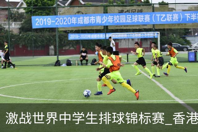 激战世界中学生排球锦标赛 香港少年传承“狮子山精神”